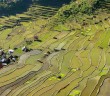 Banaue Rice Terraces Tour